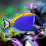 POWDER BLUE TANG  L